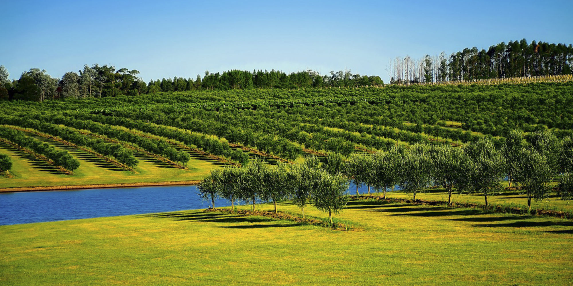 Durch Freiwilligenarbeit in Uruguay hast du die Möglichkeit, die Lebensbedingungen der Bevölkerung zu verbessern. Durch Freiwilligenarbeit in Uruguay hast du die Möglichkeit, die Lebensbedingungen der Bevölkerung zu verbessern.
