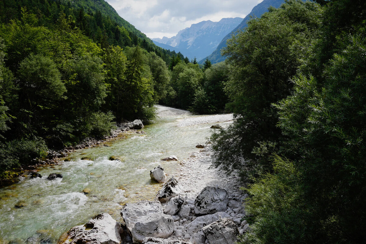 Freiwilligenarbeit in Slowenien: Die Natur in Slowenien