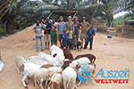 Volunteering in Ghana: Landwirtschaft und Naturschutz im Einklang