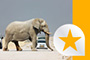 Volunteer Projekte Namibia
