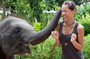 Beim Volunteering und bei Freiwilligenarbeit in Südafrika kann man in den verschiedensten Bereichen von Bau und Infrastruktur über Kinder unterrichten bis hin zu Natur- und Tierschutz.