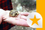 Volunteer Projekte Griechenland