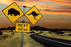 Tier- und Naturschutz haben bei den meisten Freiwilligenarbeits-Programmen in Australien höchste Priorität!