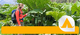 Freiwilligenarbeit in Nationalparks