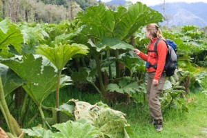 Freiwilligenarbeit in Nationalparks weltweit