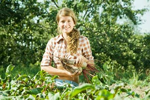Die Arbeit auf organischen Farmen (WWOOF) ist eine Sonderform der Freiwilligenarbeit.