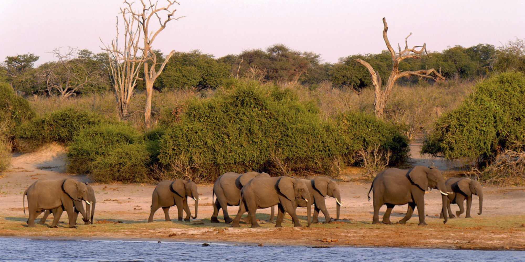 Freiwilligenarbeit in Botswana, volunteering in Botswana