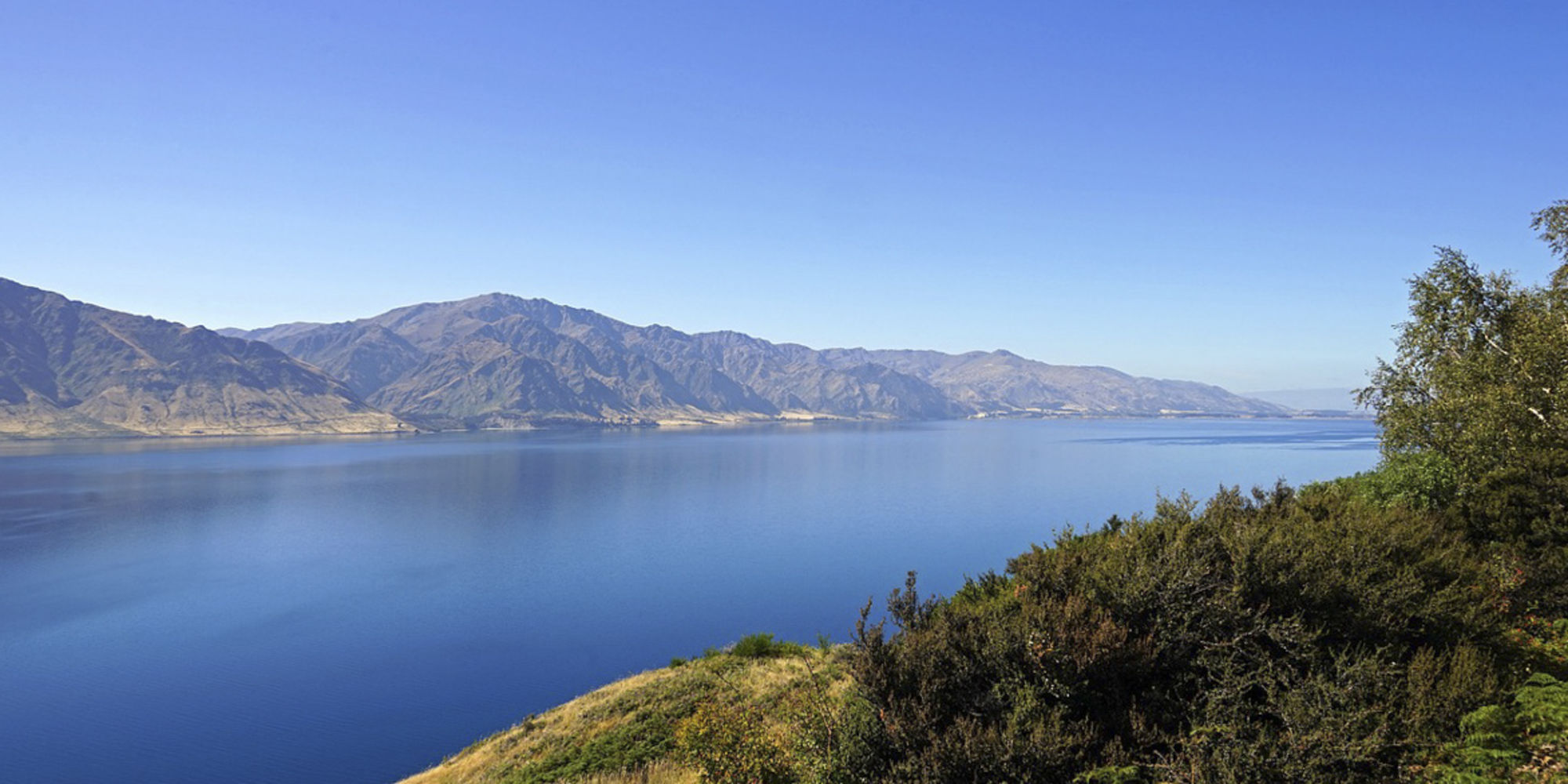 Bei der Freiwilligenarbeit in Neuseeland kannst du dich in verschiedenen Naturschutzprojekten engagieren. Bei der Freiwilligenarbeit in Neuseeland kannst du dich in verschiedenen Naturschutzprojekten engagieren.
