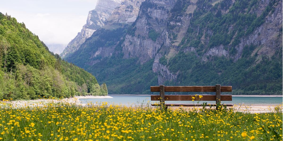 Freiwilligenarbeit in der Schweiz