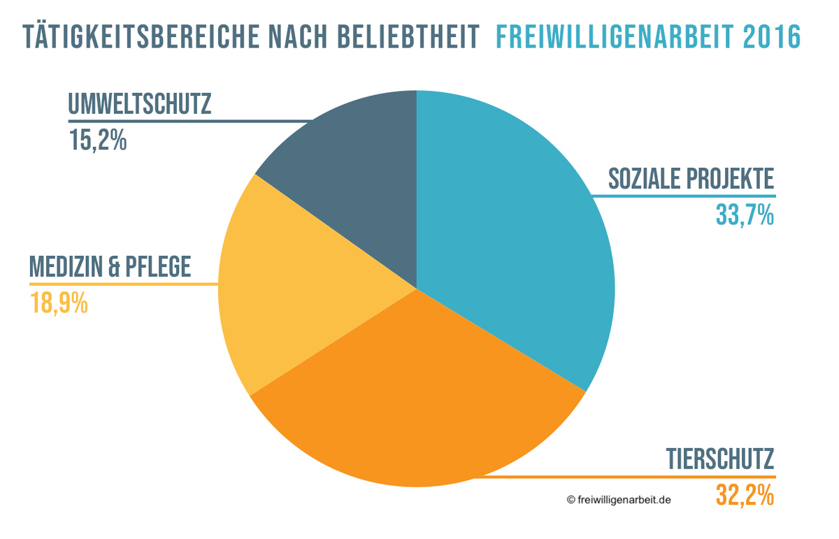 Statistik über die beliebtesten Volunteer Aufgaben und Tätigkeitsbereiche in 2016