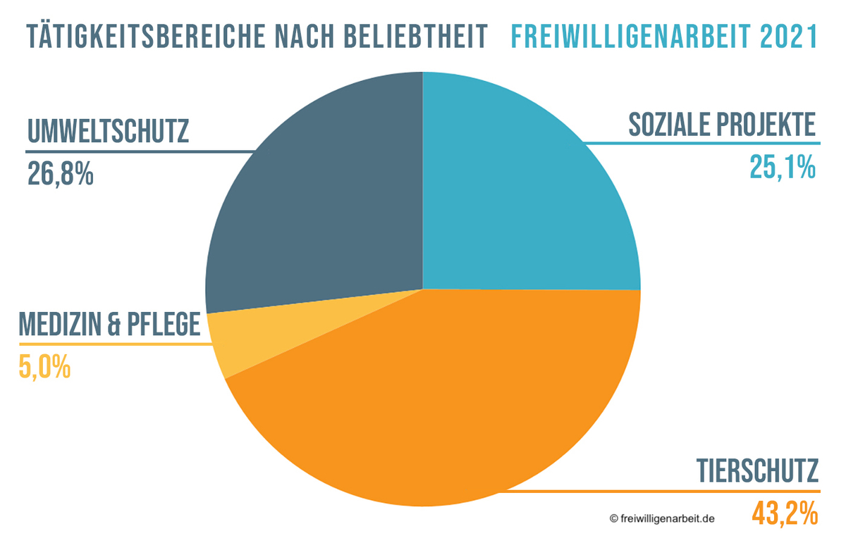 Statistik über die beliebtesten Volunteer Aufgaben und Tätigkeitsbereiche in 2021