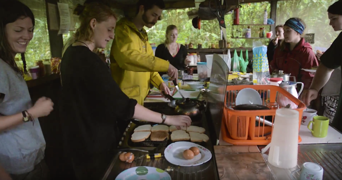 Volunteer in Ecuador, Süadamerika. Nebelwald in den Tropen und Nturschutz Projekt